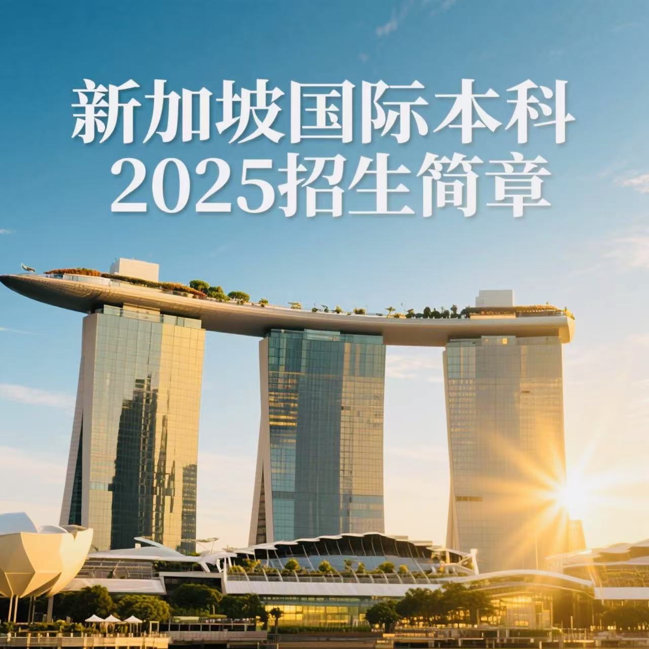 一竞技官网APP